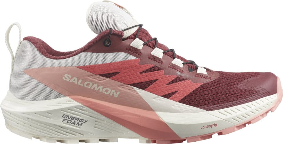 Chaussures de trail Salomon SENSE RIDE 5 GTX W